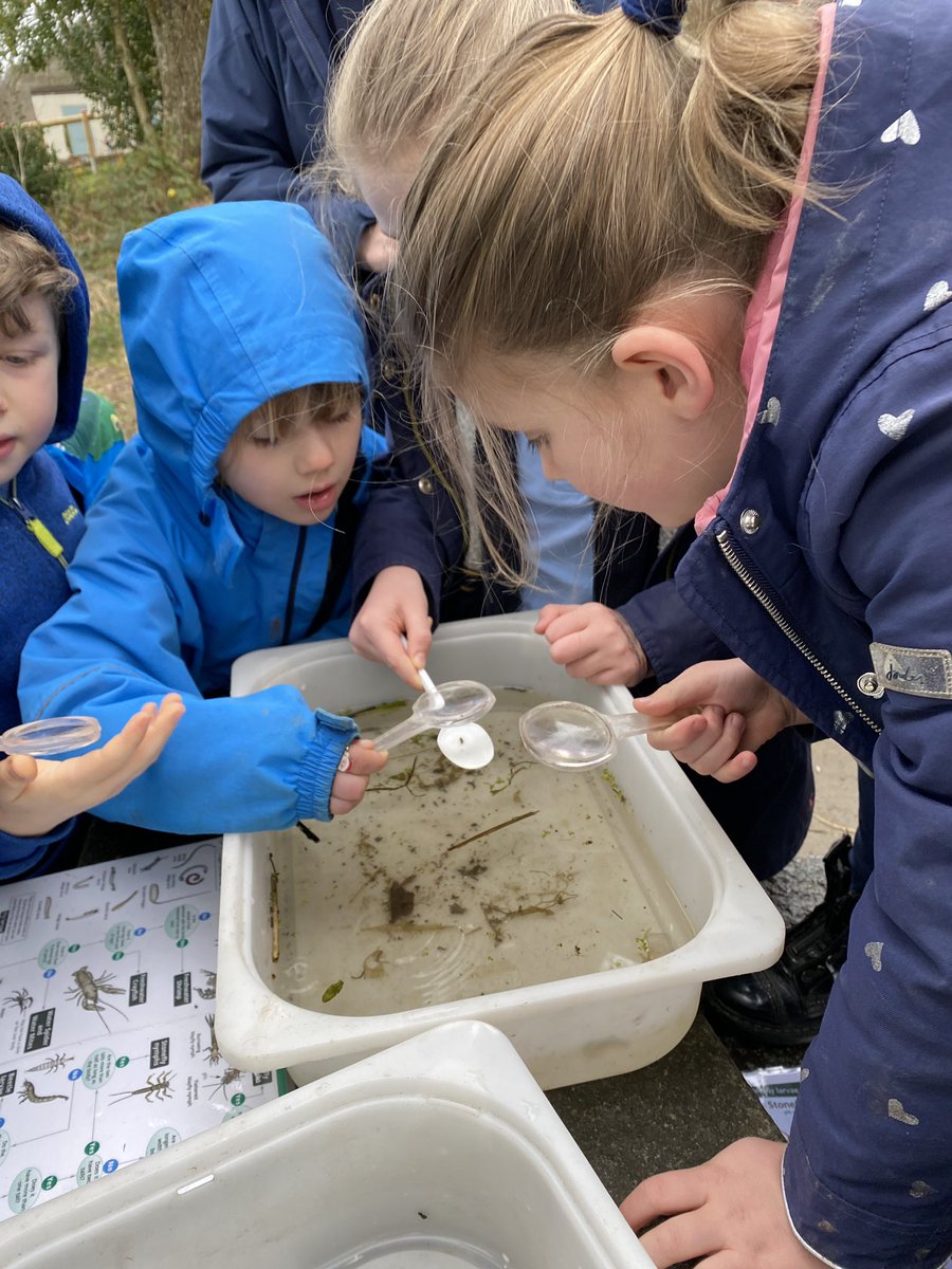 Bye bye little trout! We learned lots about fish and about the things that live in our pond today.