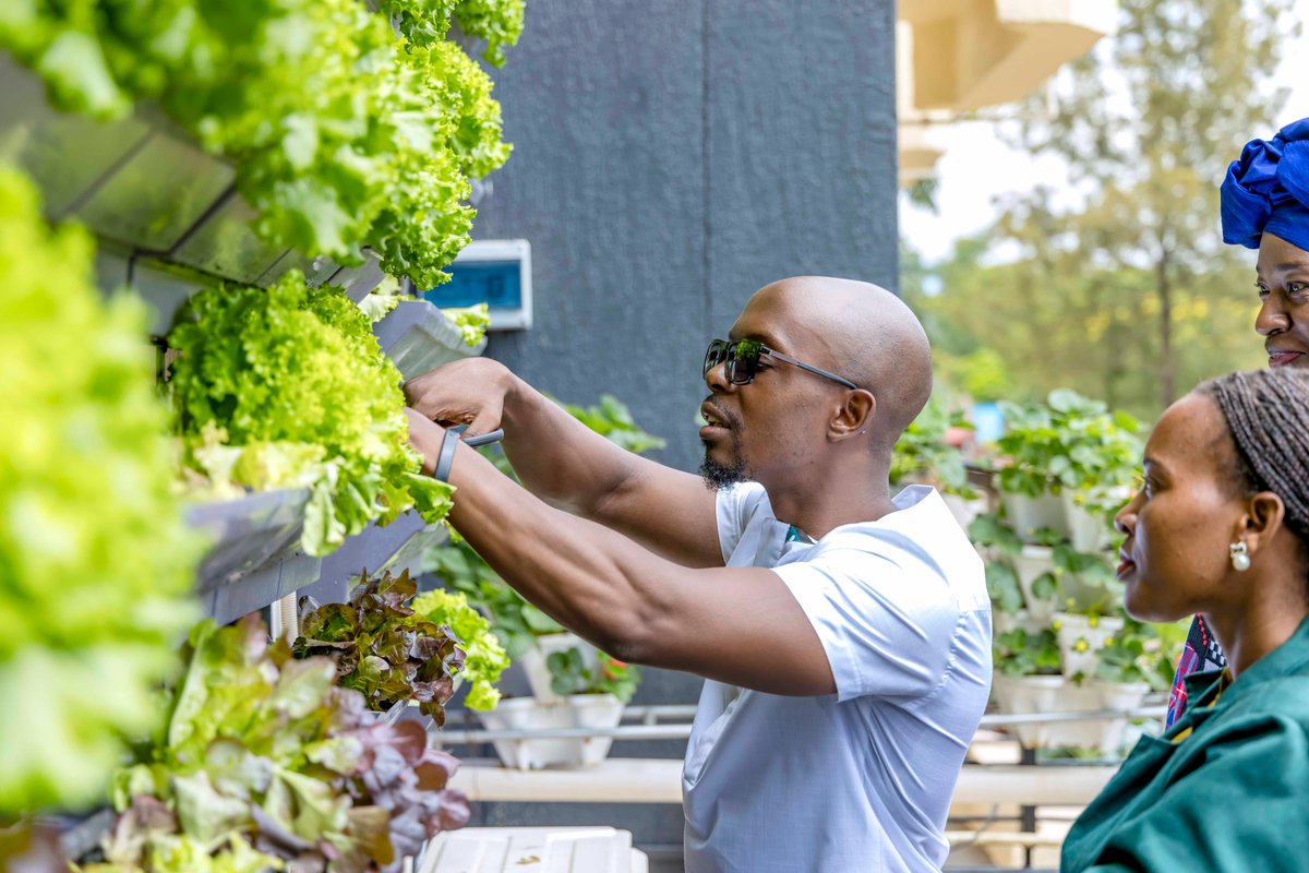 4. Economic opportunities are generated by urban farming initiatives by creating jobs and supporting local economies, particularly in underserved communities where access to fresh food and employment opportunities may be limited.