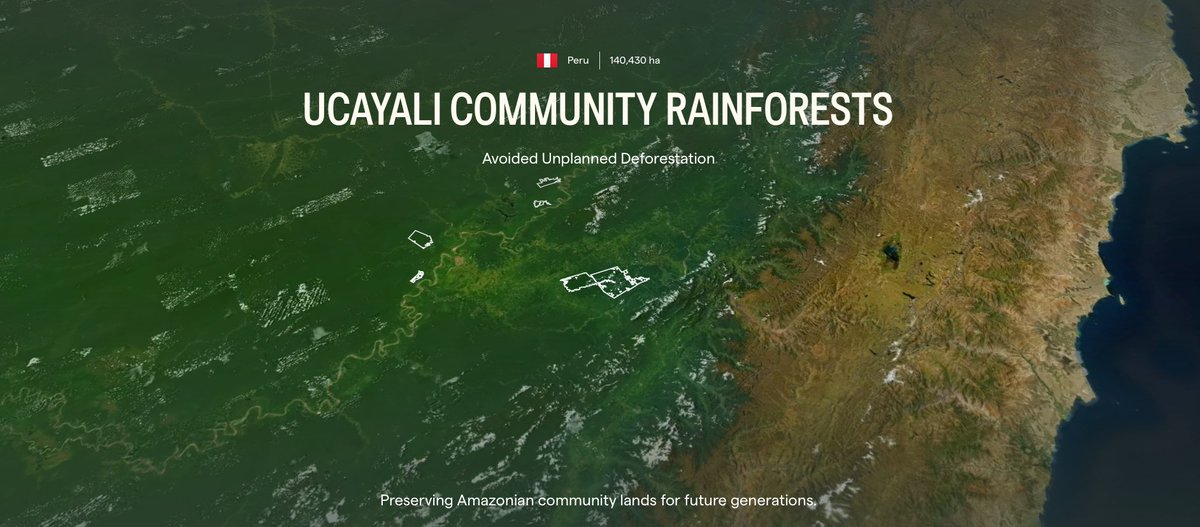 Introducing a new groundbreaking initiative: Since 2010, Ucayali Community Rainforests has partnered with Indigenous communities to safeguard vital ecosystems and drive sustainable development in the Peruvian Amazon. Learn more and join us in preserving its natural and cultural