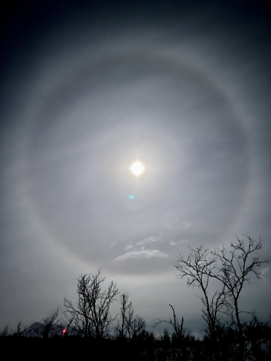 Polar Gliders tweet media