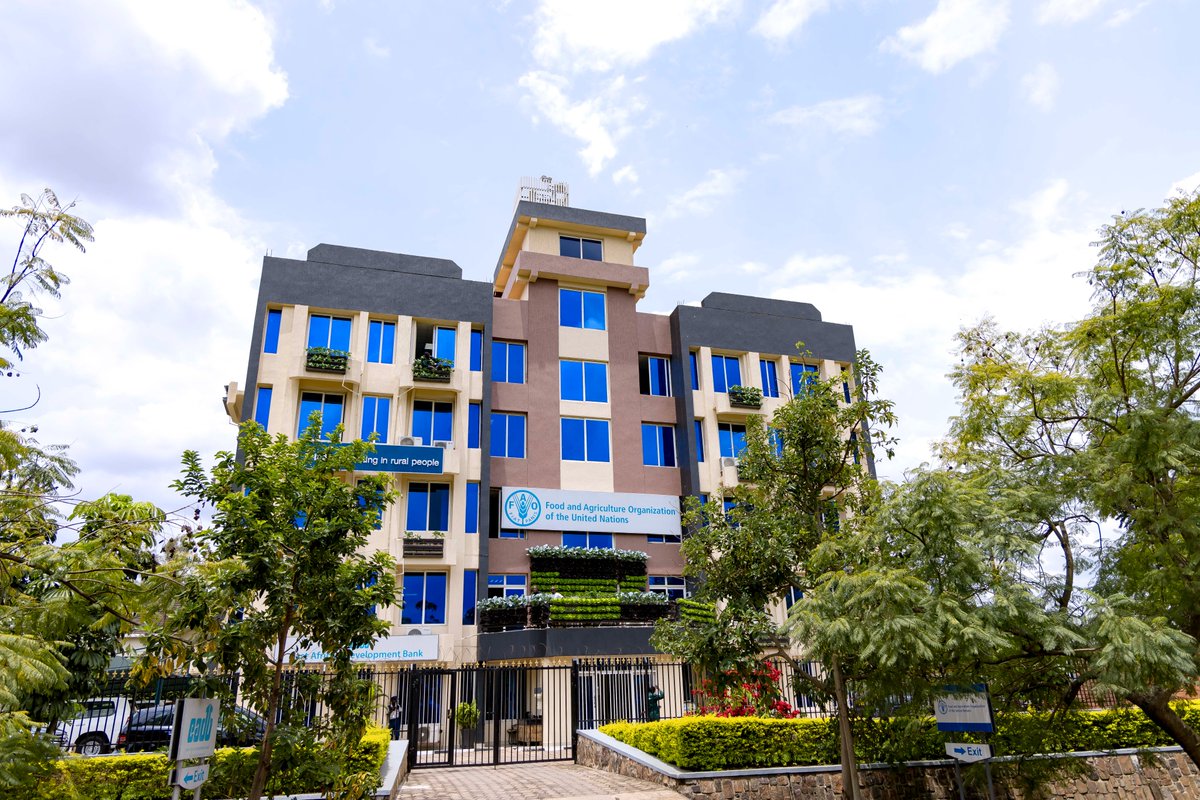 3. Green spaces are created within cities by vertical farms and urban farms, improving air quality, enhancing biodiversity, and providing recreational areas for residents.