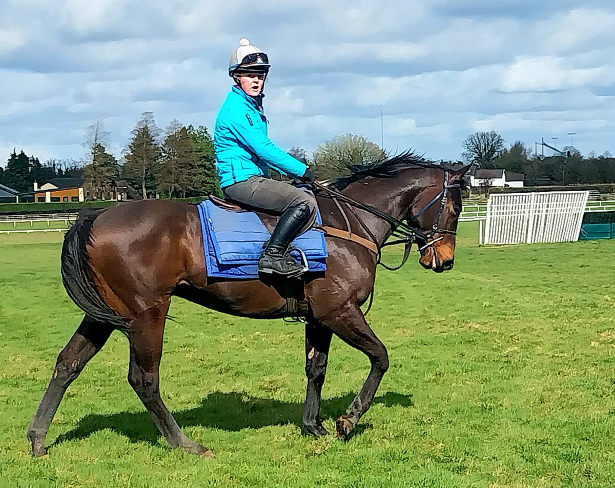 A gorgeous Far Above boy learning his trade @dawsonracing #farabove @CompasStallions @trish01122970
The Curragh Training Grounds #Kildare Ireland 🇮🇪