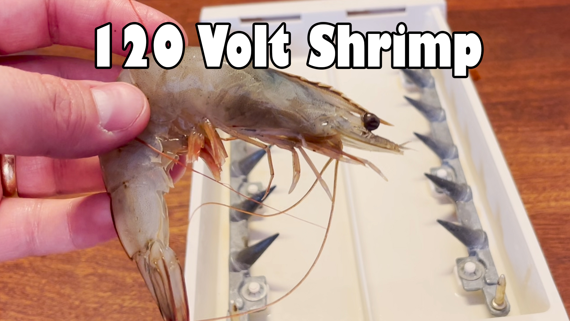 Ordinary Sausage on X: Cooking Shrimp With Retro 120 Volt Hot