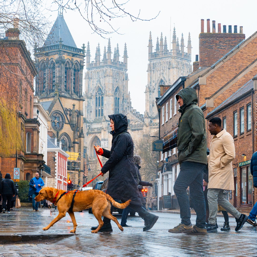 Wherever you are and whatever you are doing, we hope you're having a relaxing and enjoyable Easter break. Feast your eyes on these beauties of York 💟 📸: jake.phillips.photography on Instagram