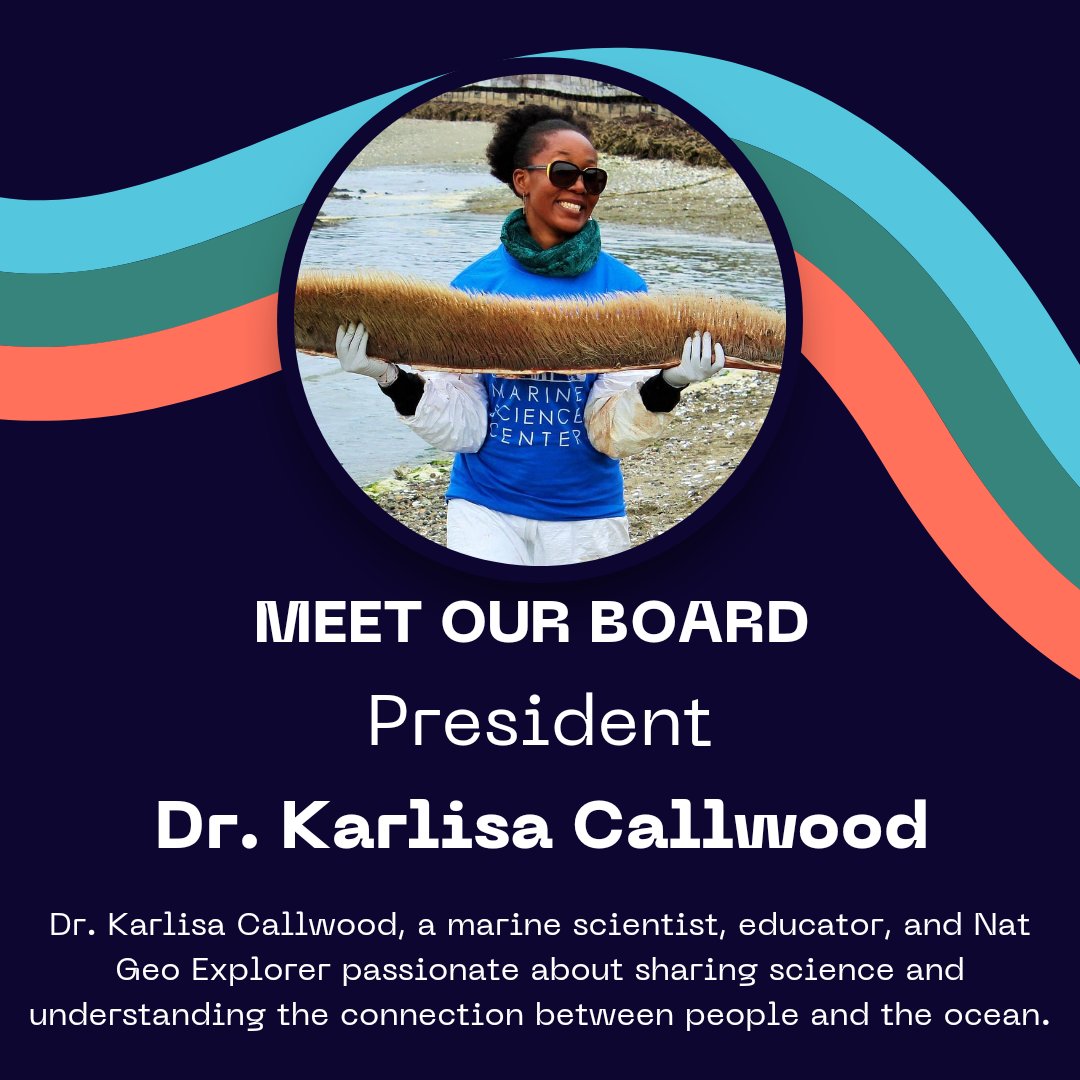 Do you know the BWEEMS board? Meet our president, Dr. Karlisa Callwood!