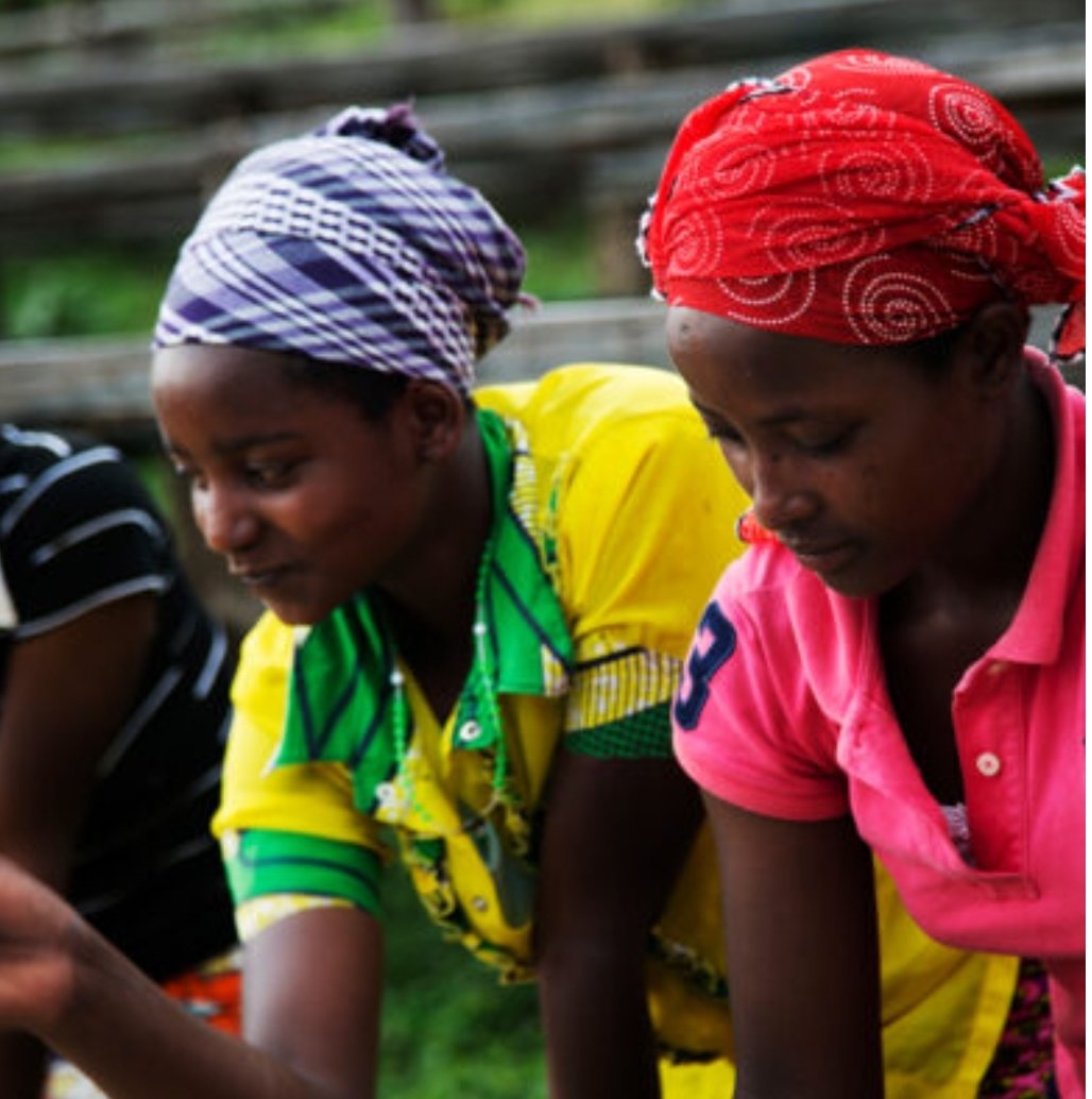 Very proud to secure QHT funding with @UniWestminster team: @miriamdwek @pooja_basnett Linda Percy @Arch_Urbanist Martin Mathews w/Michaelle Kubwimana @CoffeeKawah sponsored by Andy Pitchford @WestminsterCETI:KE project to support female #Coffee farmers in #Rwanda #SDGs