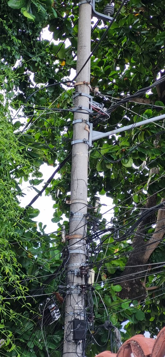 #balancogeralrj Poste caindo na Rua Mambarés, 393 em Marechal Hermes, e sem nenhuma ação da Light ou da prefeitura. Mesmo depois de vários chamados abertos. A amendoeira está muito grande e pesando sobre a fiação.