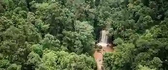 tukwa2's tweet photo. Forest produce a high percentage of Fresh Oxygen
Protect all forest by all means.
#saveMauforest🌳🌳💚
#saveCongoforest🌳🌳💚
#saveAmazoniaforest🌳🌳🌳
#ClimateCrisis https://t.co/DenP1jxbBw
