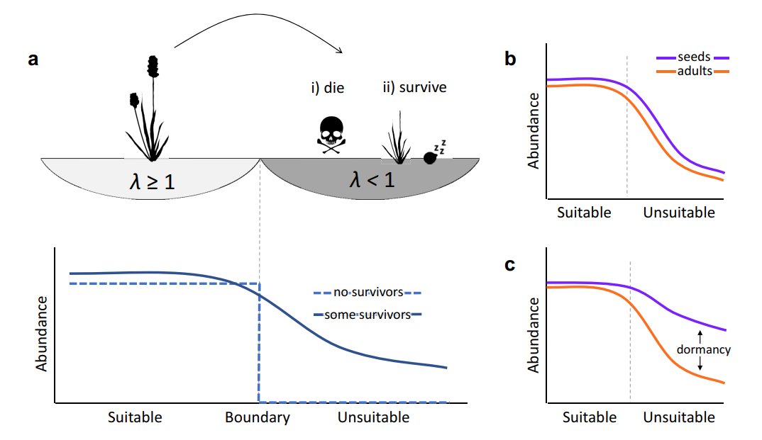 .@MegSzojka's MSc paper is up for open access! We found that dormancy can help seeds disperse between habitat patches through a harsh invaded matrix (in line with (c) in Fig) (1/5) dx.doi.org/10.1002/ecs2.4…