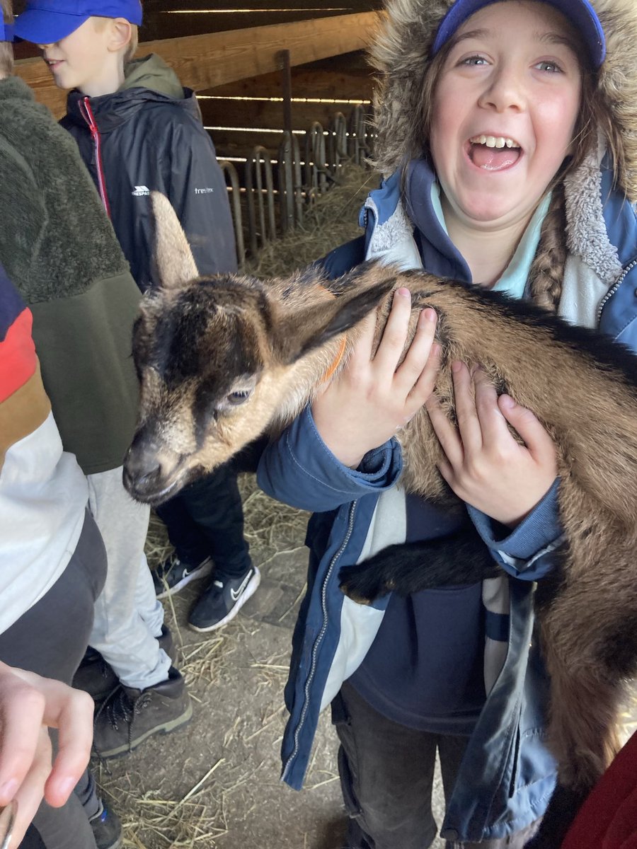 A very exciting trip to the organic goat farm this morning! What a treat!