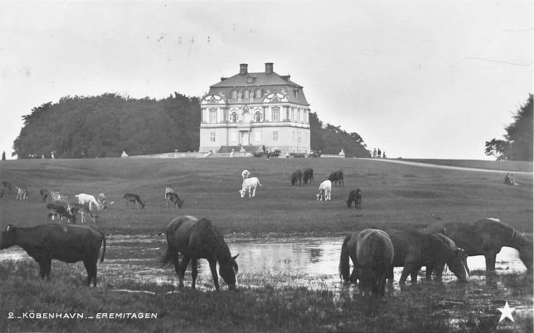 Rasmus Ejrnæs tweet media