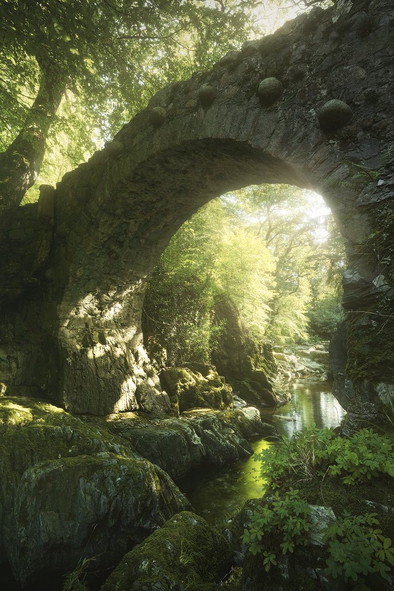 GM Bridge to Wasteros In 2021 I went to Ireland for short photo trip and I had the chance of visiting many locations used for filming Game of Thrones including the legendary Tollymore Forest Park. It was a blast walking in these fantastic places