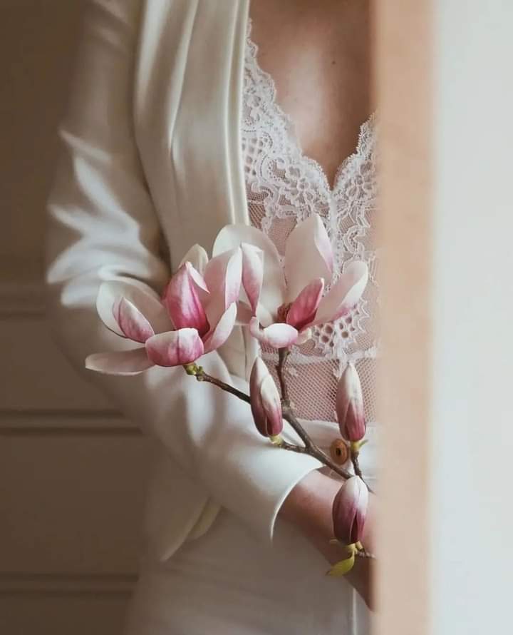 Narcissou1's tweet photo. Les femmes sont vulnérables au murmure de l'âme. 
Et l'art de la séduction est fait de délicatesse.

Romain Gary 
#citation 
#Magnolias
#delicatesse https://t.co/vIc8RvP8eC