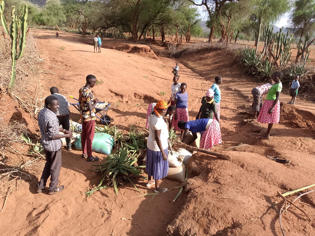 Indigenous women from naramam women group,Natuyum women and youths working jointly to reclaim an encroached land by building gabions and terraces. Building a greener, resilient future for all. @IinKenya @Decade2Restore #Generationrestoration #Fornature