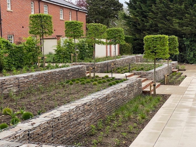 Last autumn, our team installed Carpinus betulus standard cubes - seamlessly leading from an existing into a new #garden

If you'd like a #tree or #shrub to enhance your garden or provide privacy, why not get in touch?

mnhorticulture.com 

#norfolk #horticulture