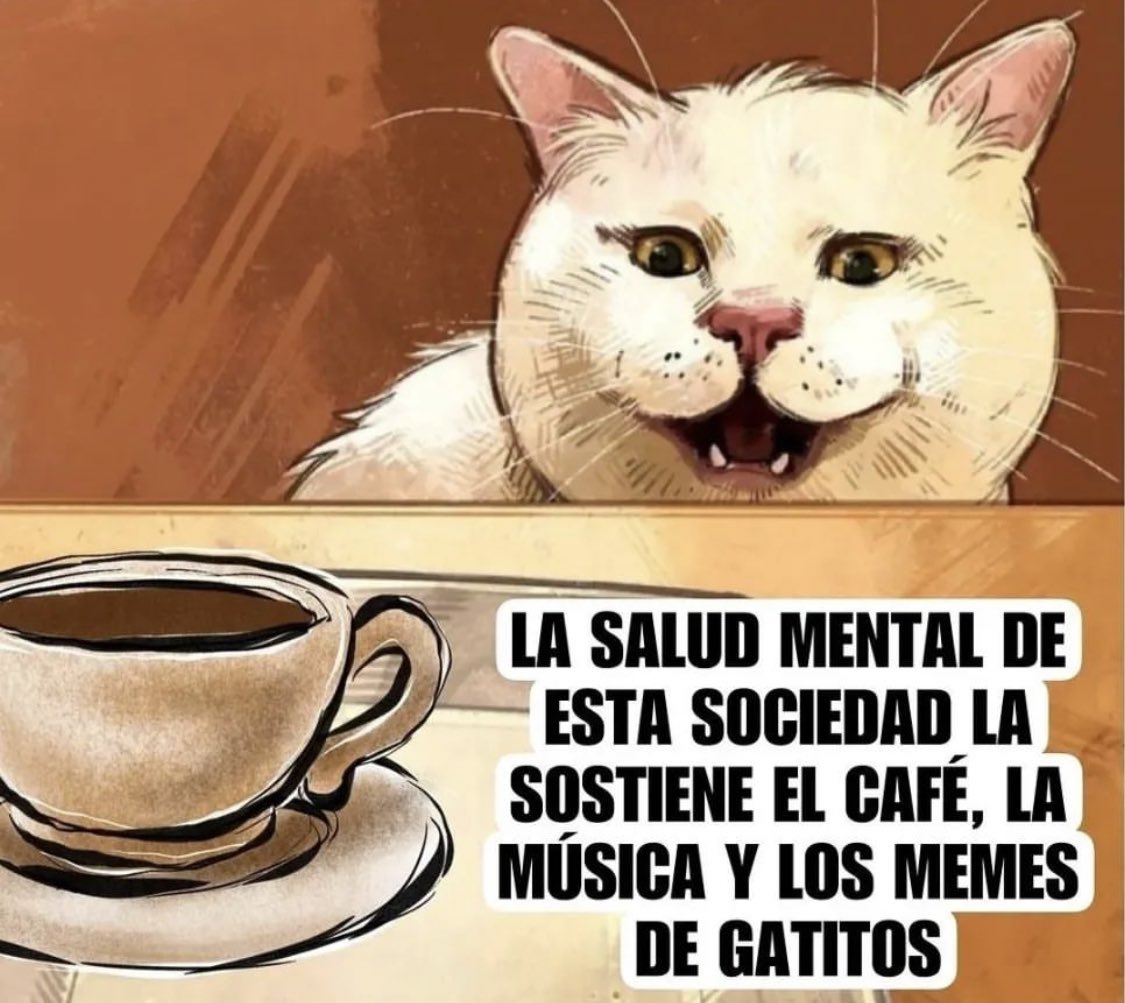 La Gata tweet media