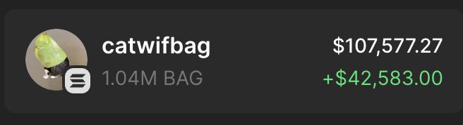 Giving away $1000 in $BAG 🐱💰

Drop your $SOL wallets, follow &amp; RT 🎁

~ 24 hours only⏳