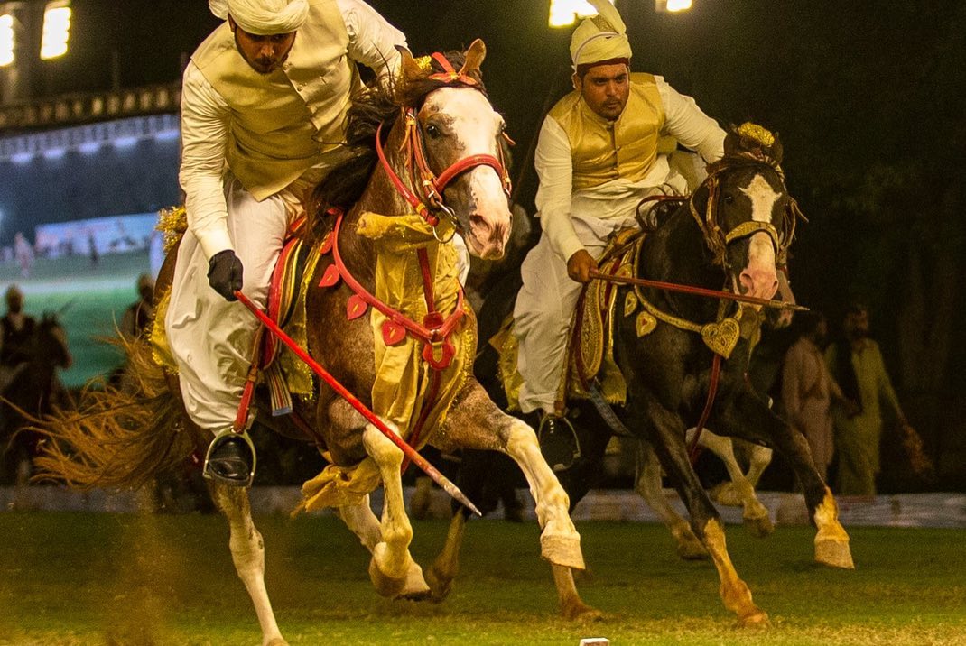 Pakistani beautiful horses. #tentpegging #team #HorseRacing #HorseRacingTips #horsepower #horseriding #horselife #horsepainting #horseshoe #ilovemyhorse #horsemanship #horseracing #horsejumping