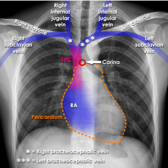 Ross Prager tweet media