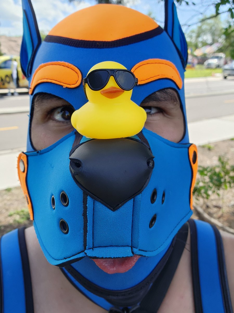 Kori_Cryobite's tweet photo. Loved this weekend at #TampaPride and had a blast with all the peps and pups out there. 🌈🐶

#pup #pupplay #pupcommunity #pride #tampapride24 https://t.co/1VjMKxK83j