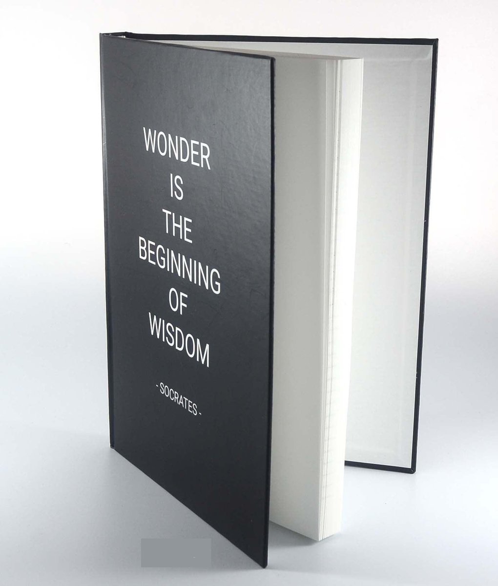 Eline van Olderen tweet media