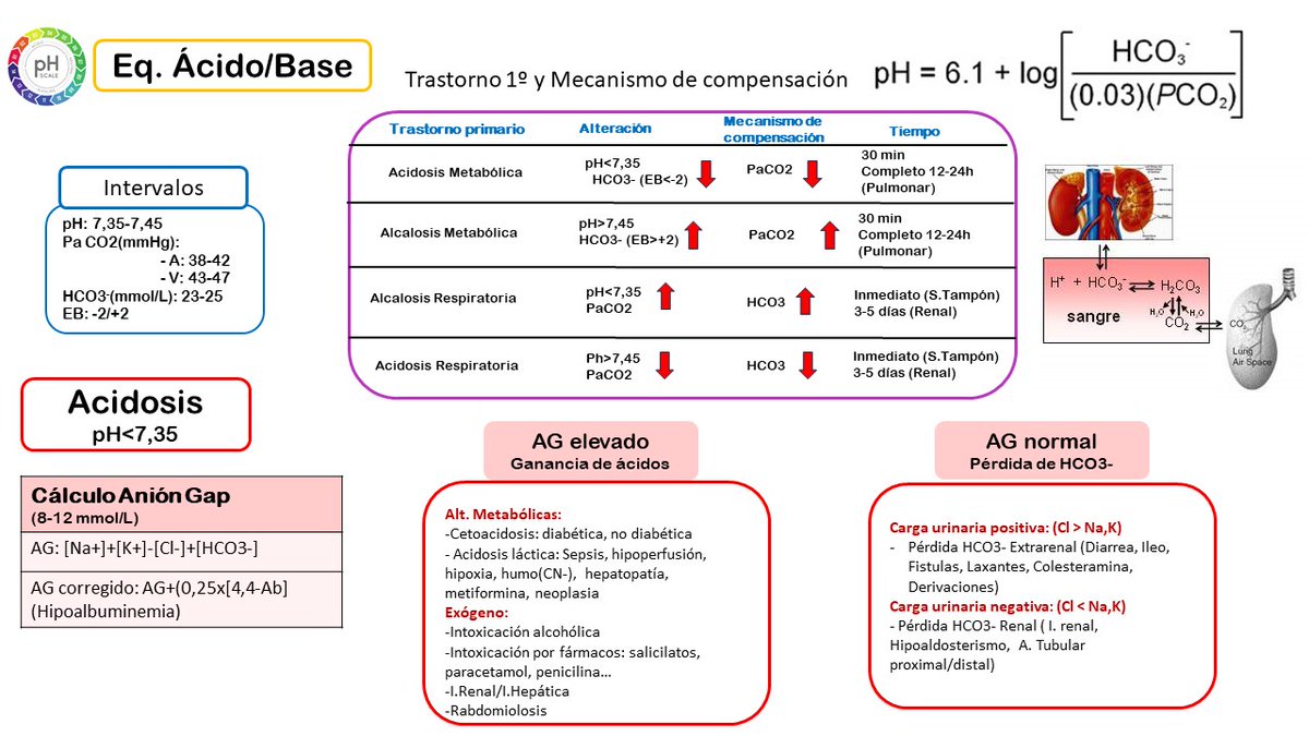 Farmàcia Hospital Sant Pau tweet media