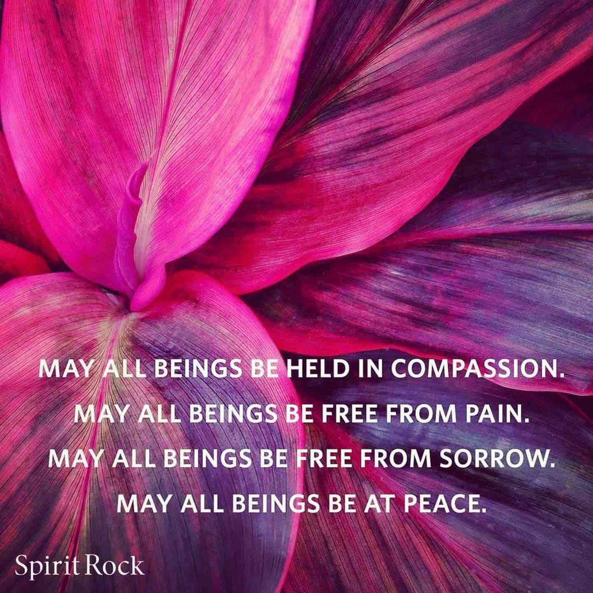 Sending some #mondaymetta your way today and every day. #mindfulness #lovingkindness #compassion #metta #spiritrockmeditationcenter #spiritrock