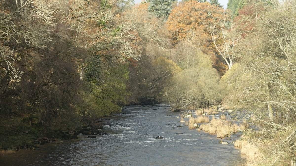 Very much looking forward to starting my new job (part time) tomorrow with Radnorshire Wildlife Trust @rwtwales as a Campaign and Advocacy Officer for the River Wye.