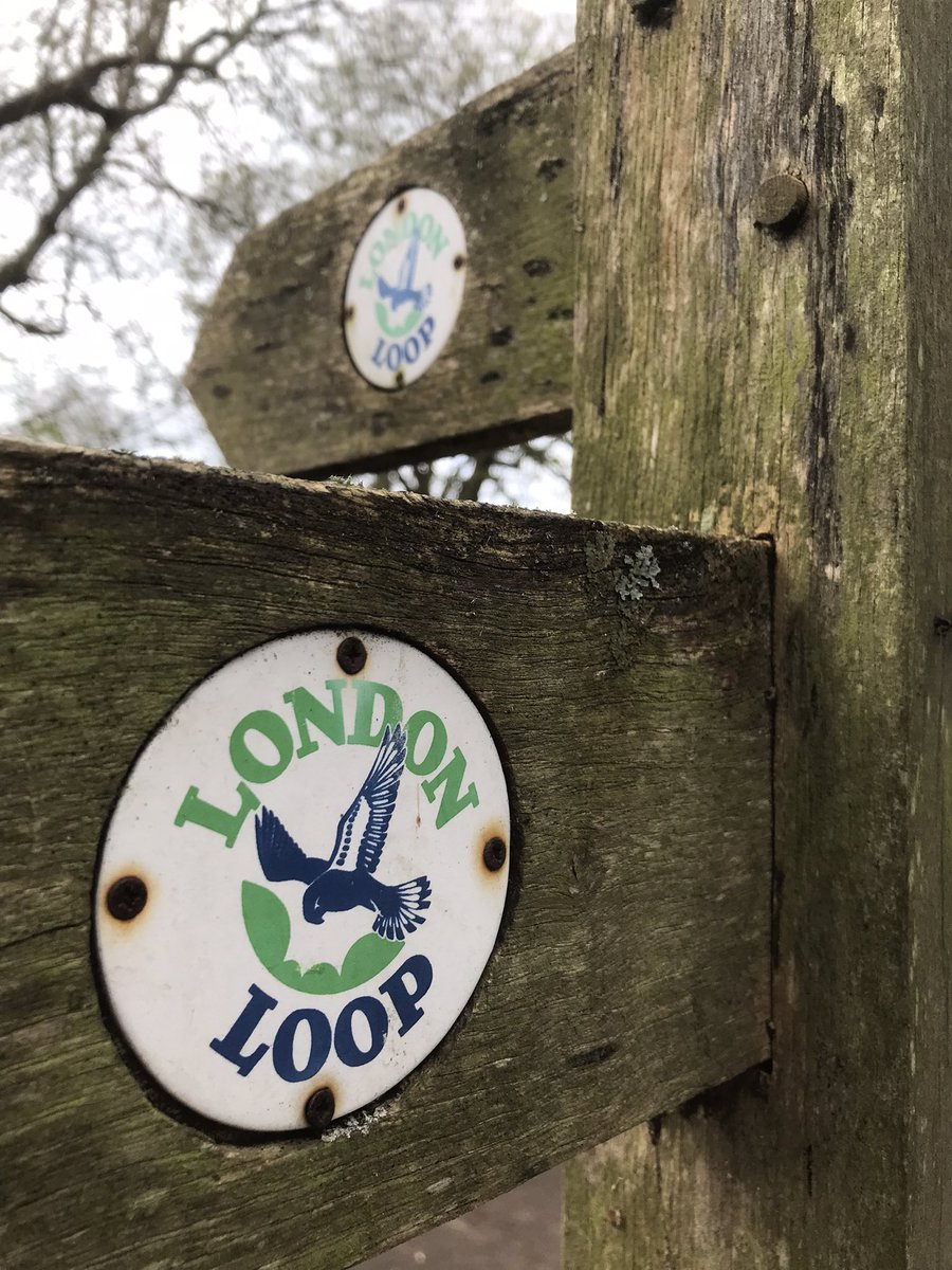 Back on the Loop! 
Enjoy a wander through London’s leafy suburbs. #londonloop #ramblersgb #osleisure #photography #landscapephotography #london 
Image © slambcreations