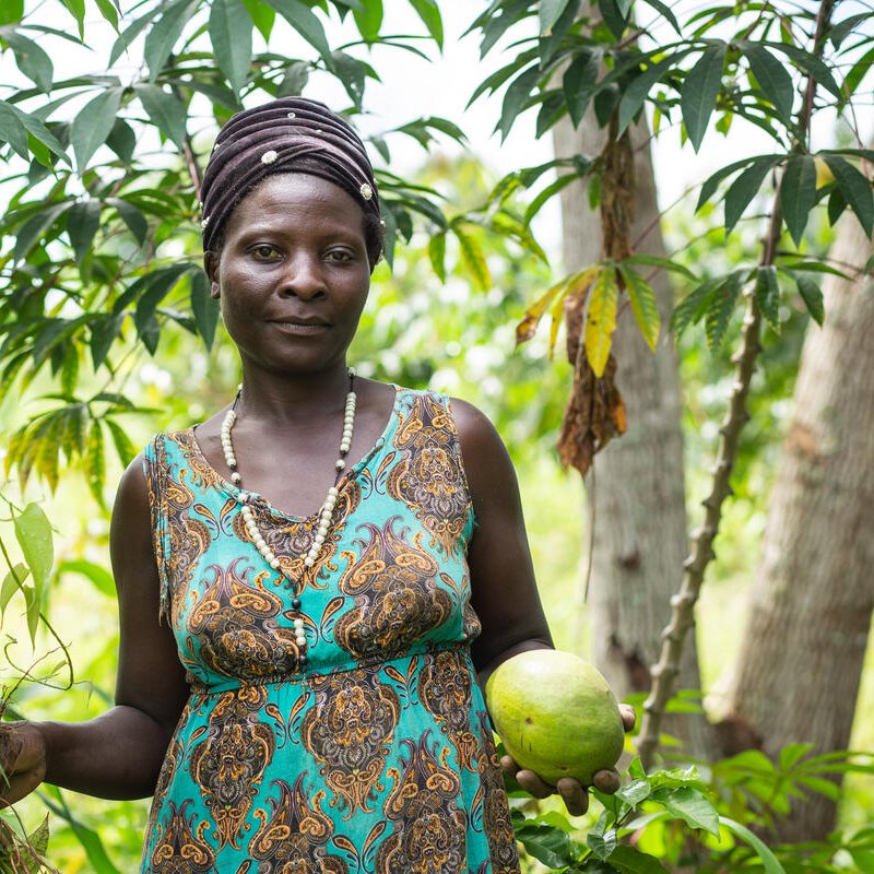 🌟Shout out to our partner Crisgrow transforming would-be-wasted avocadoes 🥑 into high value products for farmers in #Uganda 🌍🌱 #StopFoodWaste #EmpowerFarmers