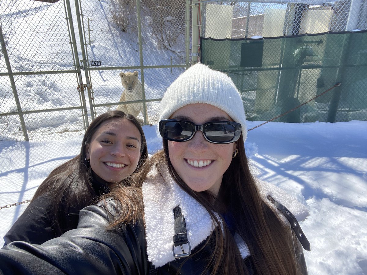 MaggieSarm12745's tweet photo. Had an amazing time at the Toronto Zoo on Saturday with my #BIOM4110 class! It was really fun to go behind the scenes to learn about the reproductive programs and watch the lions get fed! Thank you Dr. Madan for this awesome experience! https://t.co/6rlh4x0ysx
