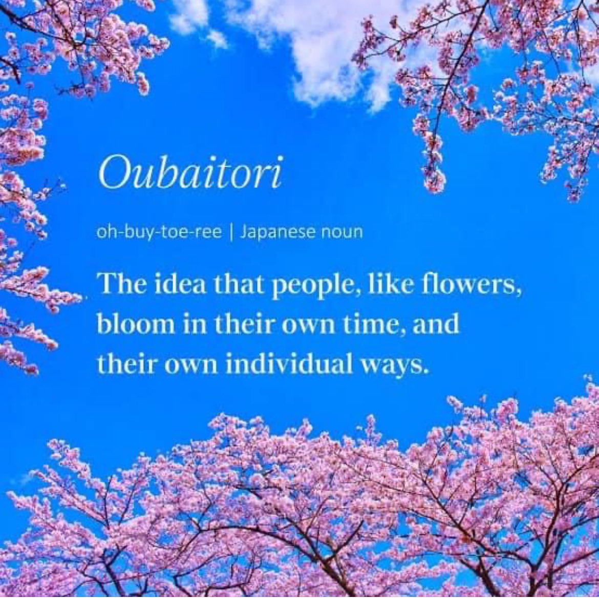 Oubaitori, comes from 🇯🇵 kanji for the four trees that bloom in spring: cherry blossoms 🌸 , plum, peach 🍑, & apricot Each flower blooms in its own time, and the meaning behind the idiom is that we all grow & bloom at our own pace #CherryBlossoms🌸🌸🌸 #HeartHealth❤️❤️❤️