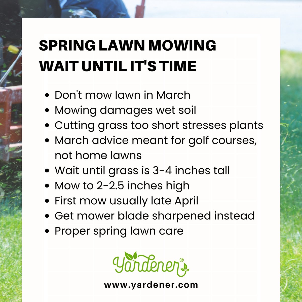 🚫 Mowing too early can damage your lawn! Get tips on perfect spring mowing timing.

#gardeningtips #gardeninggoals #GardenMagic #gardening #gardenblogger #plantcare #yardener #lawnmower #lawnmowingtips #LawnCareTips #lawncarecommunity #mowingthelawn