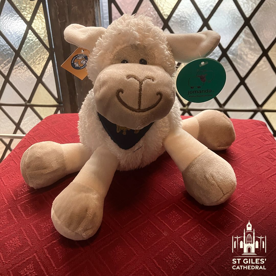 From March 25th to April 14th sheep will be hiding in the cathedral - if you find one it's yours to take home! Don't forget to scan the QR code on the tag for a chance to win a VIP experience at this year's Royal Highland Show. Find out more at buff.ly/3VsGCPF @The_RHASS