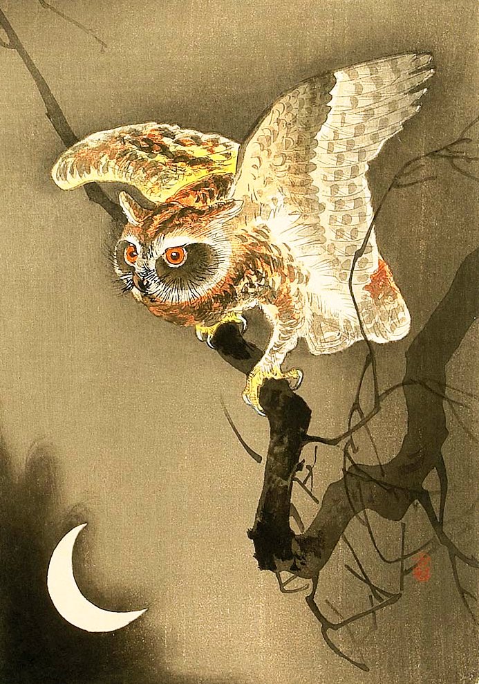 As I turn my gaze upward And see the crescent moon 📔Immortals Poetry of Ōtomo, 734 AD ❀ 🖊️Ōtomo Yakamochi (Japanese Waka Poet) ❀ 🖼️Owl & Crescent Moon, 1926 ❀ 🎨Ohara Koson (Japanese Painter) ❀ *Ōtomo composed this poem at the age of 16. #immortalhaiku #Ōtomo