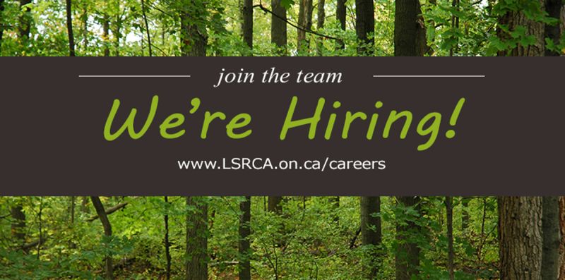 Join the team! We're hiring a Climate Change Assistant. For more information or to apply, lsrca.on.ca/index.php/abou…. The deadline to apply is April 1, 2024. #Hiring #ConservationJobs #JobPosting