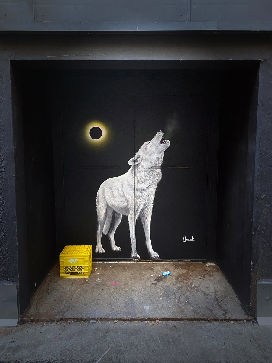 Here's an artful alley wolf I saw in an Edmonton alley. I'm not travelling through #dtyeg much anymore on my legs, sadly, due to the increased volume of unpredictable stabiness...