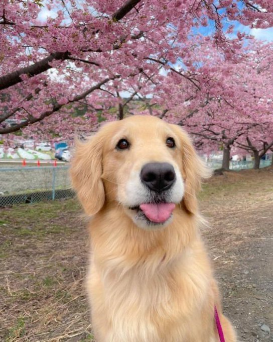 Michel ✧ tweet media