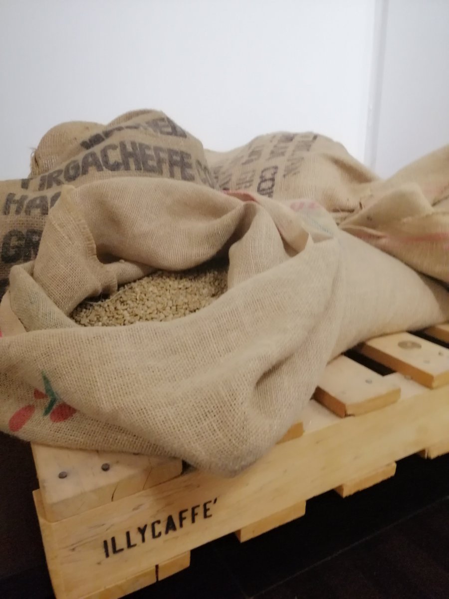 Thanks, <a href="/illycaffe/">illycaffè</a> , for a transformative visit for our MBA students from #MIBTrieste. Novella Sardos Albertini and Università del Caffè offered deep insights into the coffee industry's #innovation, #sustainability, and #culture. #RealWorldLearning