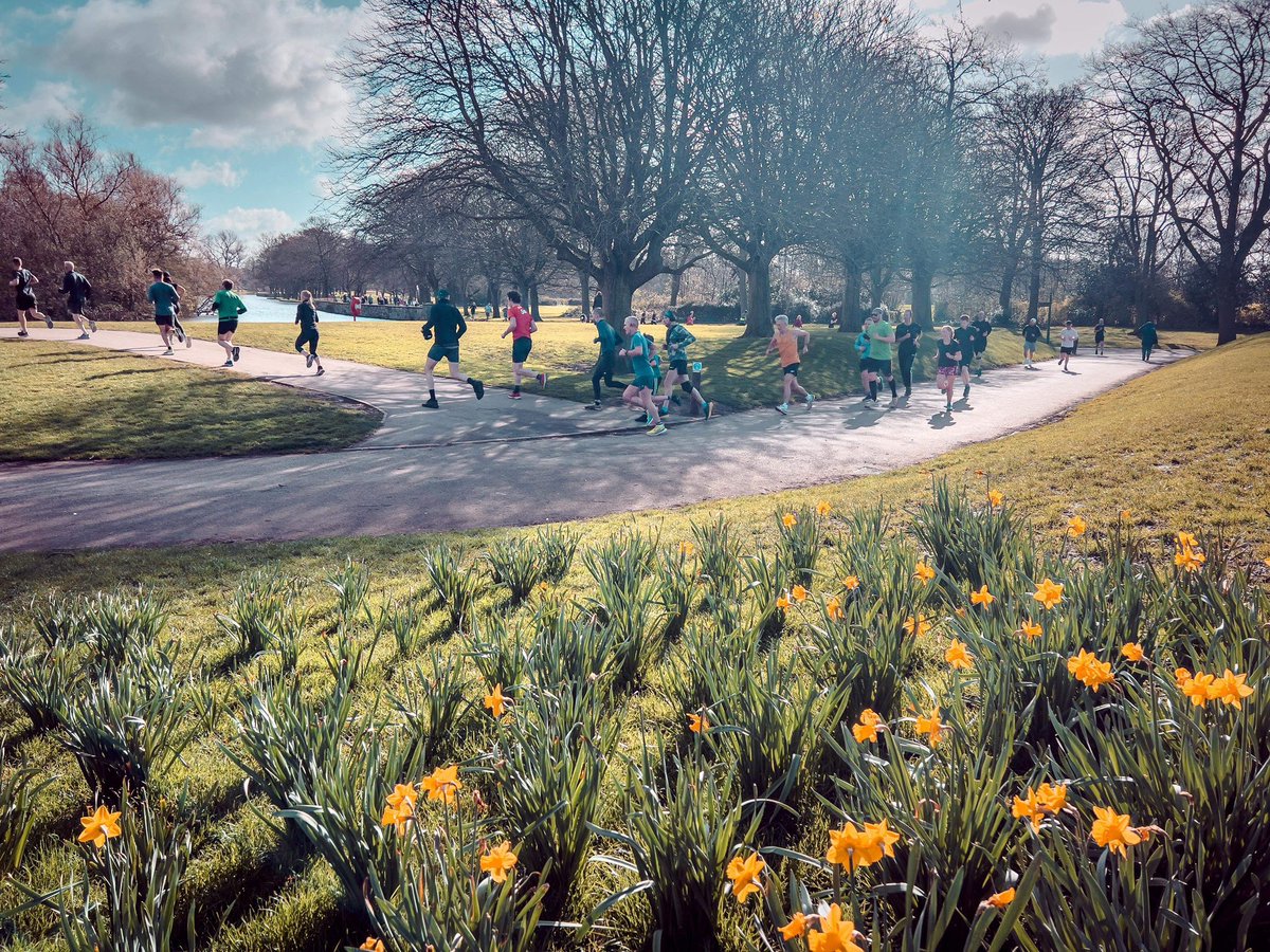 Hull parkrun tweet media