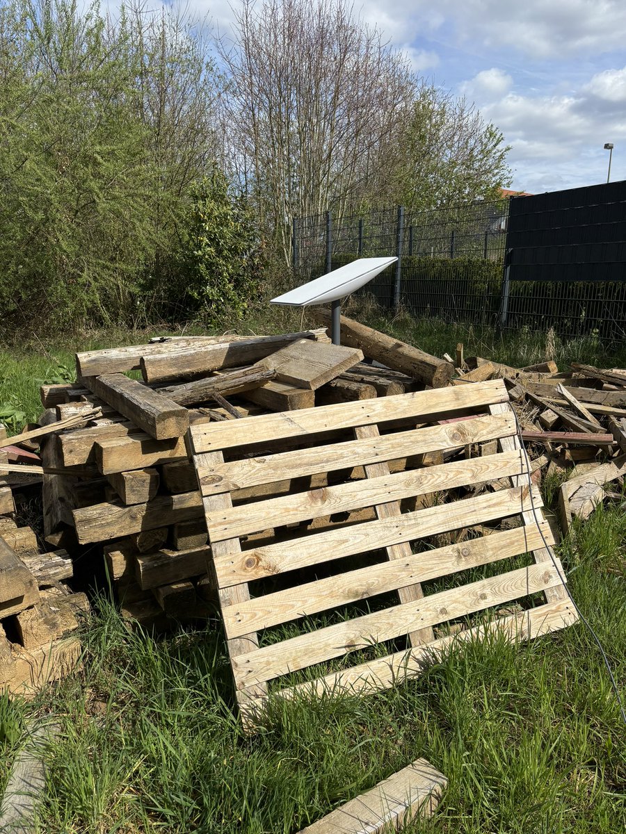 Daniel 😎 tweet media