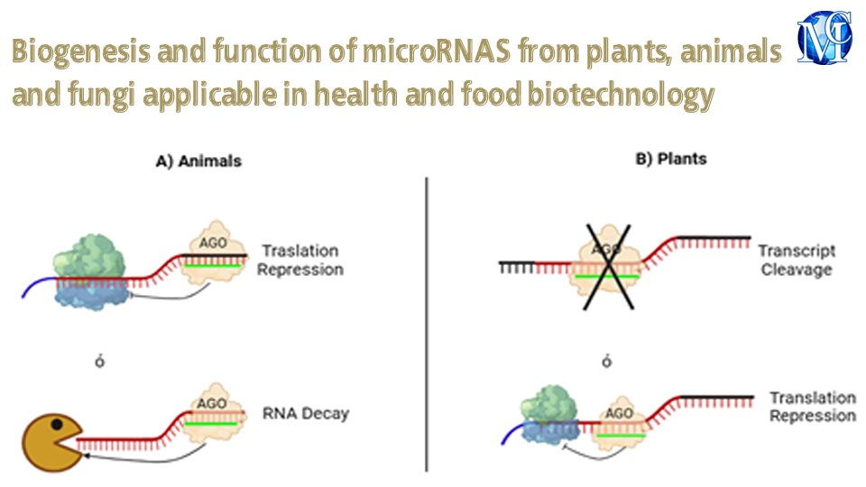 #Biogenesis and function of #microRNAS from #plants, #animals and #fungi applicable in #health and #food #biotechnology, published in International Journal of Molecular #Biology Open Access by Sehom Rivera Gutiérrez, et al. medcraveonline.com/IJMBOA/IJMBOA-… #research #medicine #science