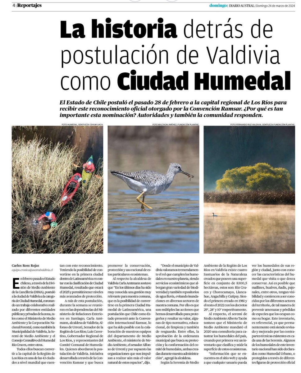 centrohumedales's tweet photo. Ayer domingo, el Diario Austral destacó nuestra labor en favor de la conservación de humedales a través de nuestras diversas actividades en el marco de la postulación de #ValdiviaCL como Ciudad Humedal
#CEHUM #investigacion #humedales #conservacion https://t.co/AlVbqBCB0J