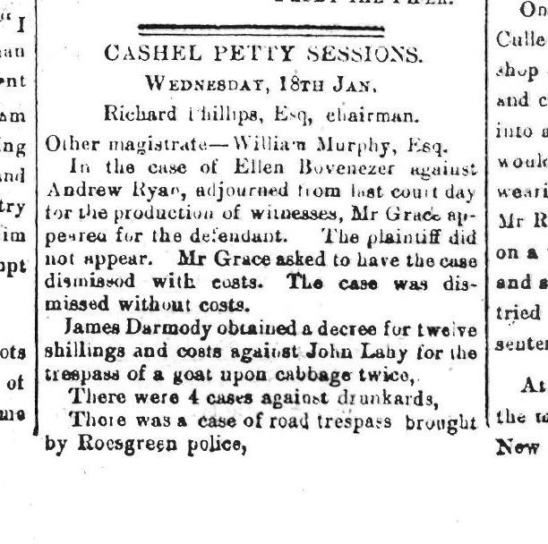 Breaking Baa-d: The Great Cabbage Caper! A repeat offender gets charged. Cashel Gazette 21 Jan 1882 #FarmersWorstNightmare #19thCentury #HistoricNewspaperCollection @TippLib @cashel_ie