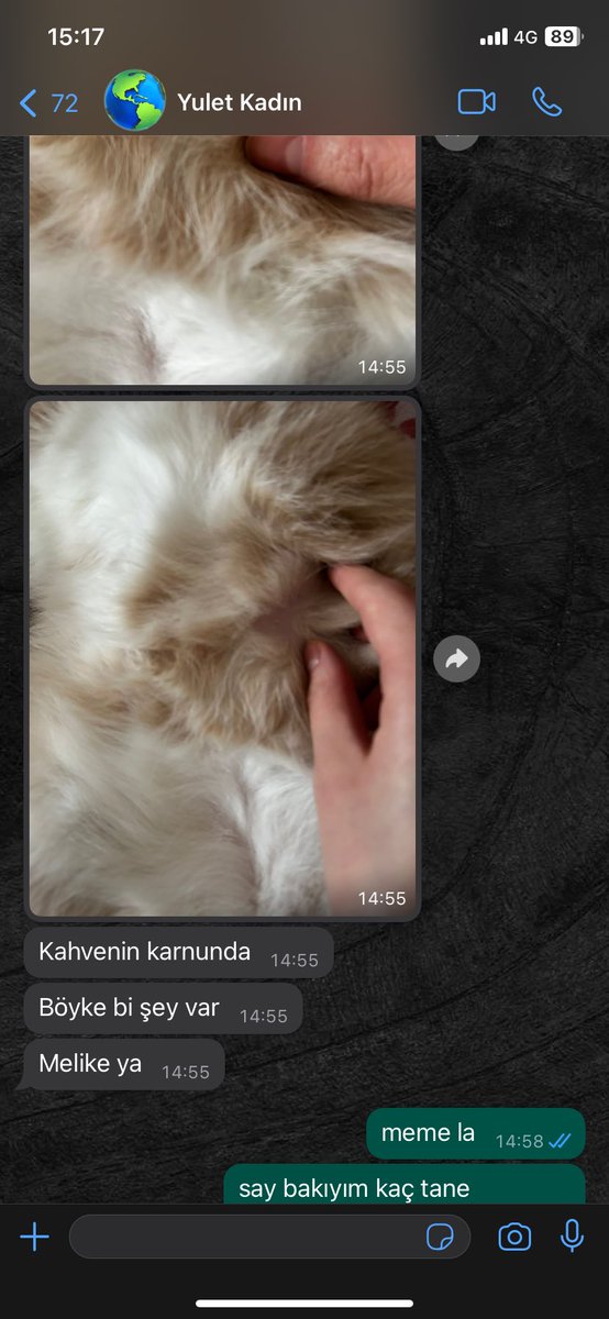 sana ne mesajlar geliyordur simdi