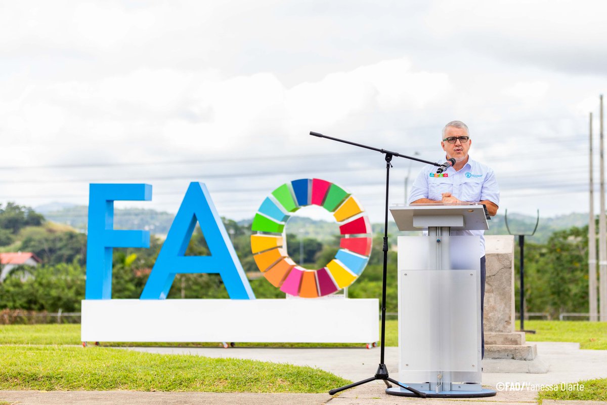 FAO Mesoamérica (@faomesoamerica) on Twitter photo #EntrevistasFAO
Agro: Herramienta contra el hambre en Panamá y la región
Lea entrevista a <a href="/ASanchesFAO/">Adoniram Sanches Peraci</a>, Coordinador subregional de <a href="/FAO/">Food and Agriculture Organization</a> en #Mesoamérica y Representante en 🇵🇦 y 🇨🇷, en el marco de la #ConferenciaFAOAméricas #LARC38
En <a href="/PanamaAmerica/">PanamáAmérica</a>
👇
panamaamerica.com.pa/sociedad/agro-… #EntrevistasFAO
Agro: Herramienta contra el hambre en Panamá y la región
Lea entrevista a <a href="/ASanchesFAO/">Adoniram Sanches Peraci</a>, Coordinador subregional de <a href="/FAO/">Food and Agriculture Organization</a> en #Mesoamérica y Representante en 🇵🇦 y 🇨🇷, en el marco de la #ConferenciaFAOAméricas #LARC38
En <a href="/PanamaAmerica/">PanamáAmérica</a>
👇
panamaamerica.com.pa/sociedad/agro-…