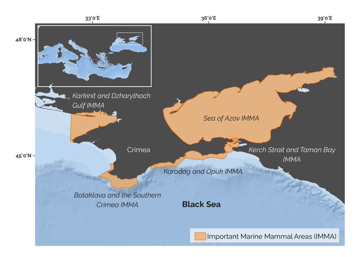 Black Sea Important Marine Mammal Areas, IMMAs, in danger noted in @OryxTheJournal - 3 subspecies of endemic bottlenose & common dolphins & harbour porpoise have suffered to unknown extent due to ongoing war. @Defenders @whalesorg @whalesorg_de @CetaceanSociety @guardianeco