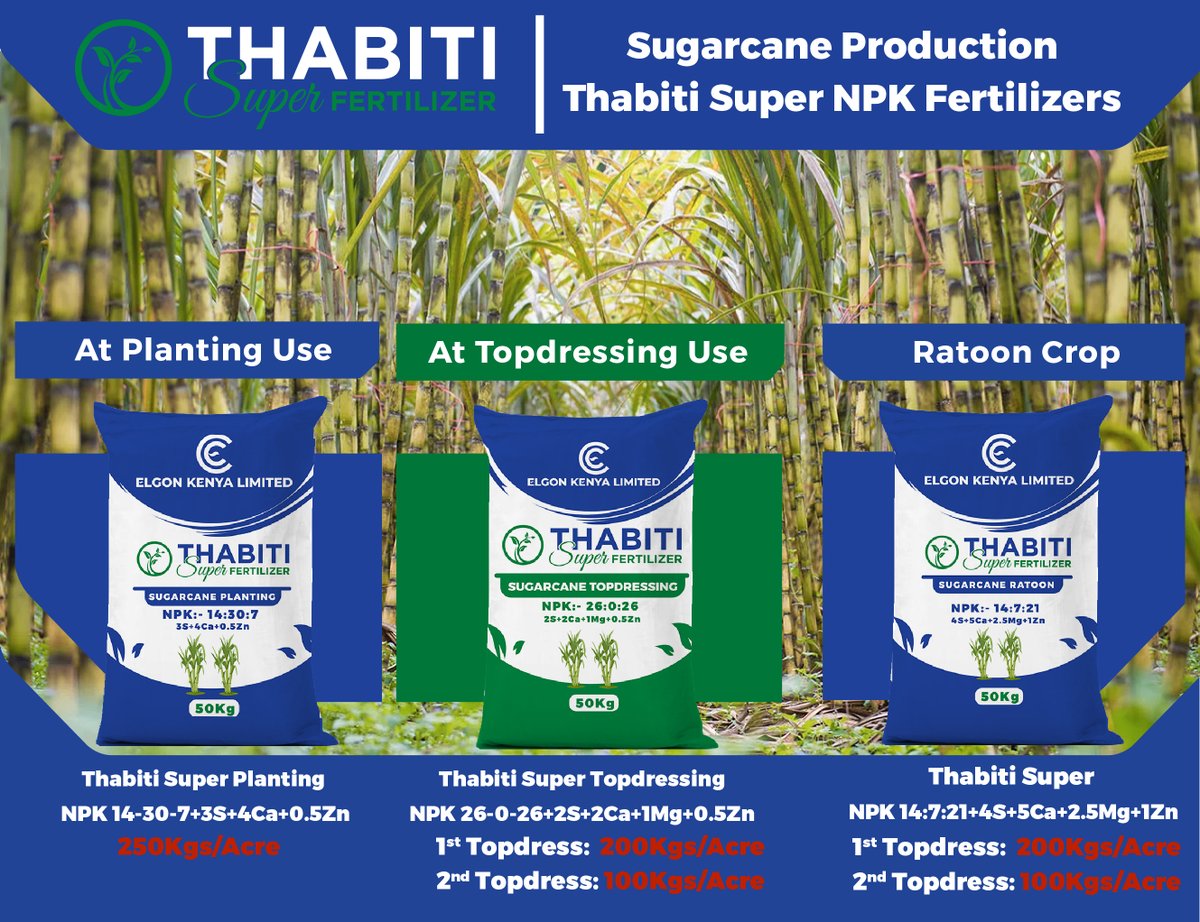 Give your sugarcane crop the optimal nutrition it needs by using our sugarcane-specific 𝗧𝗵𝗮𝗯𝗶𝘁𝗶 𝗦𝘂𝗽𝗲𝗿 𝐍𝐏𝐊 𝗙𝗲𝗿𝘁𝗶𝗹𝗶𝘇𝗲𝗿𝐬. Get 𝗧𝗵𝗮𝗯𝗶𝘁𝗶 𝗦𝘂𝗽𝗲𝗿 NOW. Available At Your Local Distributor 📞0110 094 464 #ThabitiSuperFertilizer #SugarcaneProduction