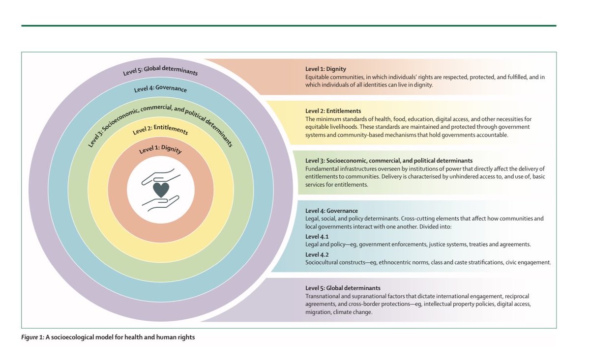 Our model for thinking about how human rights intersect with health, with human dignity at the centre.