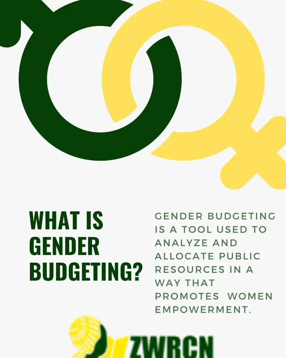 A RECAP ON WHAT GENDER BUDGETING IS.
Gender budgeting is a tool used to analyze and allocate public resources that promotes gender equality and women`s empowerment. It involves assessing how budgets impact men and women differently ensuring that funds are distributed equitably.